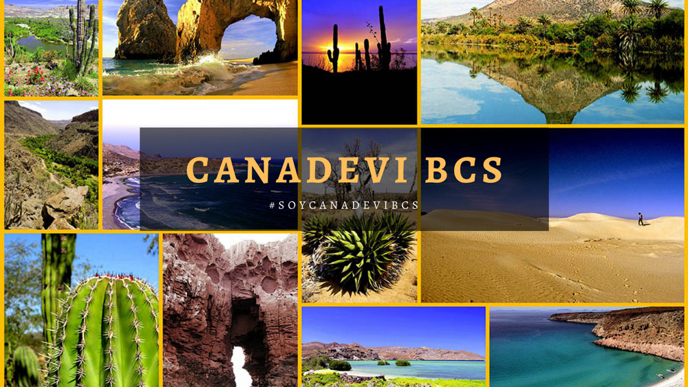 Collage de Baja California