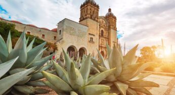Promociones en Vivienda, Oaxaca