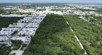 Sustentabilidad en la construcción de viviendas en México: El futuro está aquí.